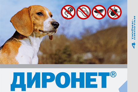 2667049479_uOyzWv6P_5c4015001a2b88634a23b3785deb576d8ca04ccb.png